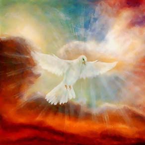 Фото и видео за сватба цени 49 - Божия ласка.